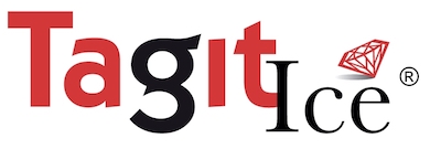 Tagit Ice Logo